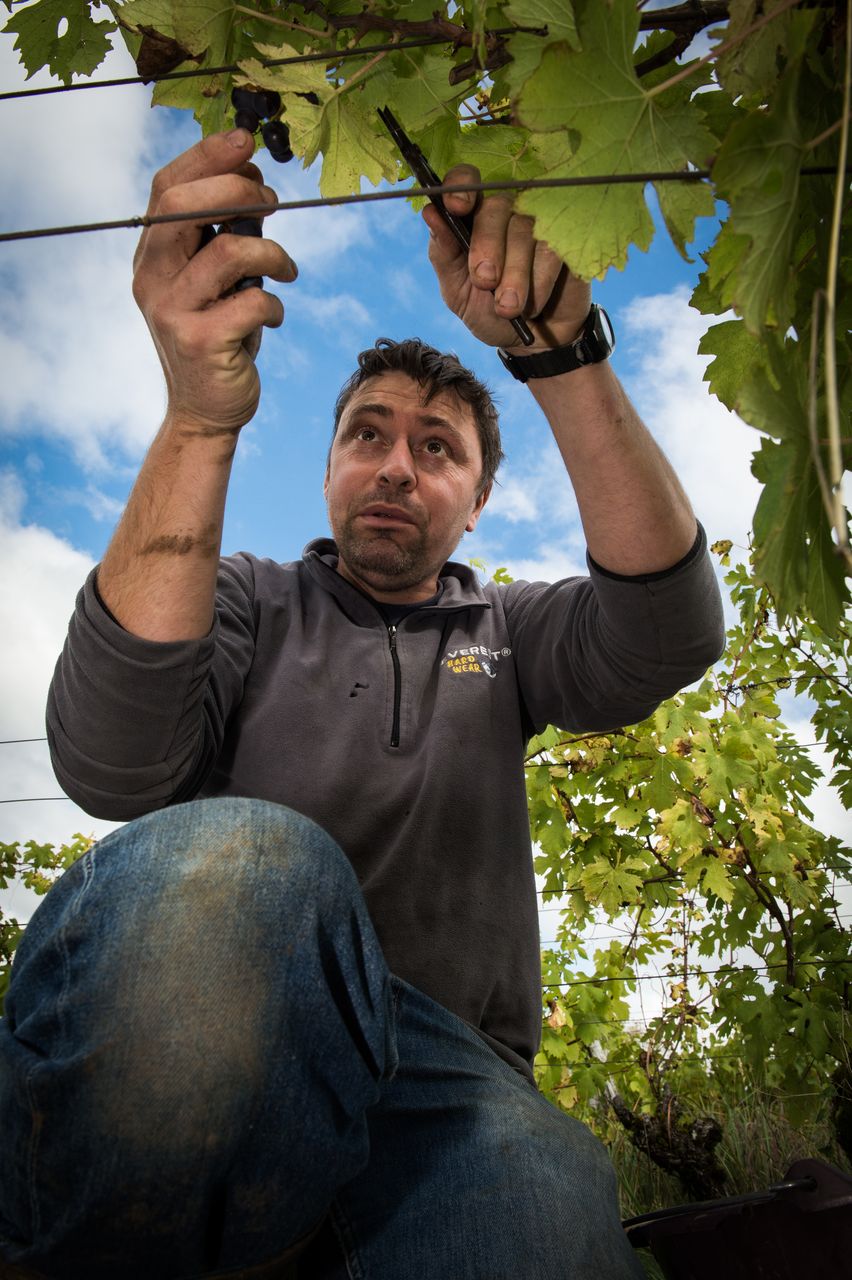 Vins Vigneron Anne & Emmanuel Houillon 8808